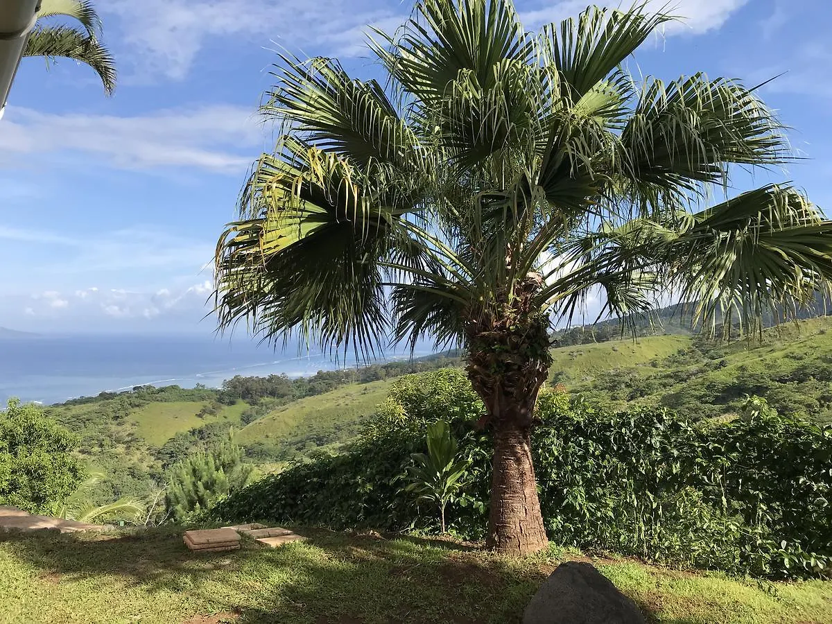 Mata Miti Villa Paradise Tahiti プナアウィア